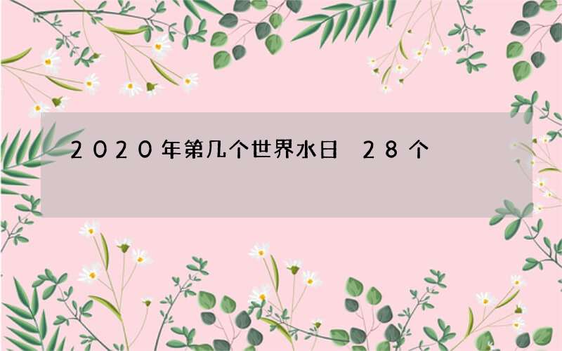 2020年第几个世界水日 28个